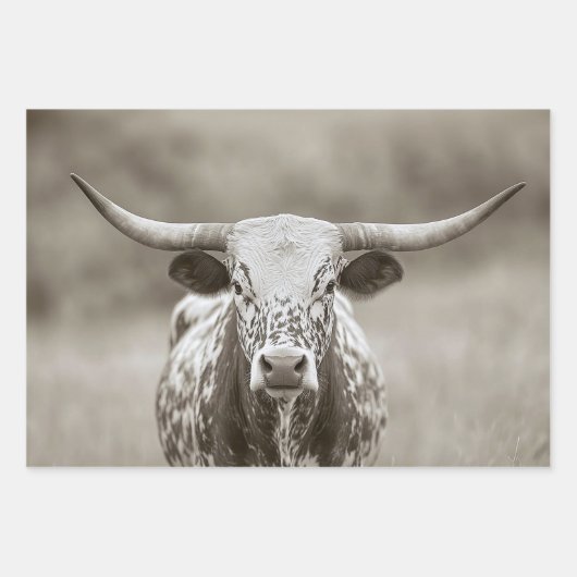 Longhorn Steer Cattle Decoupage Inpakpapier Vel (Voorkant)