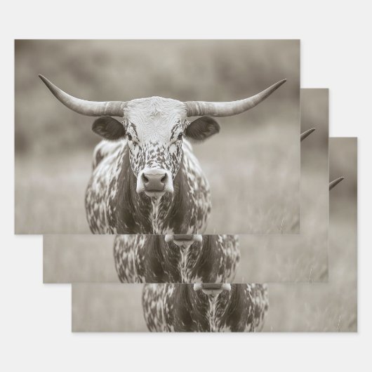 Longhorn Steer Cattle Decoupage Inpakpapier Vel (Set)