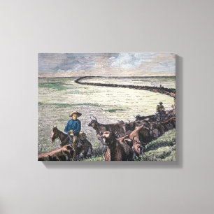 Longhorn, vee, van Texas naar Abilene, Kansa Canvas Afdruk