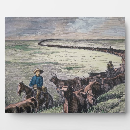 Longhorn, vee, van Texas naar Abilene, Kansa Fotoplaat (Voorkant)