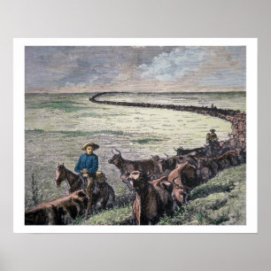 Longhorn, vee, van Texas naar Abilene, Kansa Poster