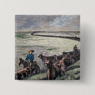 Longhorn, vee, van Texas naar Abilene, Kansa Vierkante Button 5,1 Cm