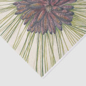 Longleaf Pine van Mary Vaux Walcott Tissuepapier (Detail)