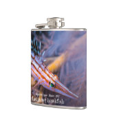 Longnose havikvis heupfles (Links)