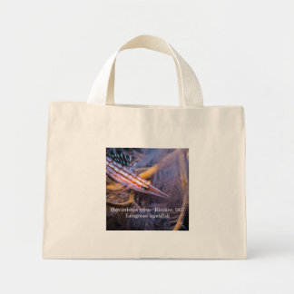 Longnose havikvis mini tote bag