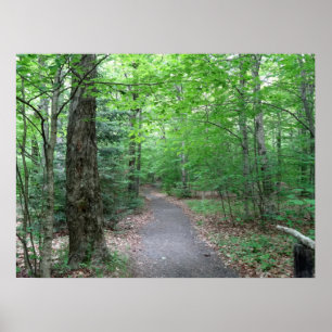 Longruf Lake Trail in New Hampshire Poster