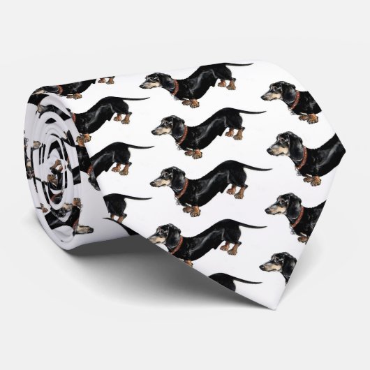 longue cravate de chien de teckel (Roulé)