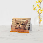 Longue Durée, Pas De Carte Meow (Fleur jaune)