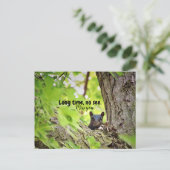 Longue durée, pas de voir carte postale (Debout devant)