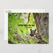 Longue durée, pas de voir carte postale (Devant / Derrière)