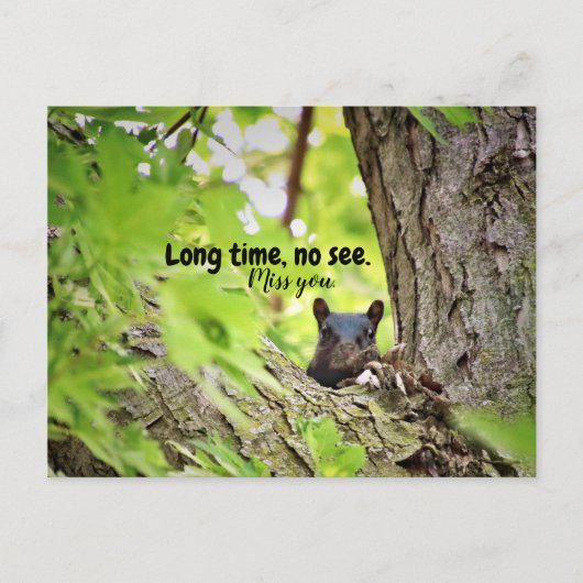 Longue durée, pas de voir carte postale (Devant)