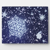 Longue Plaque nocturne d'hiver (Devant)