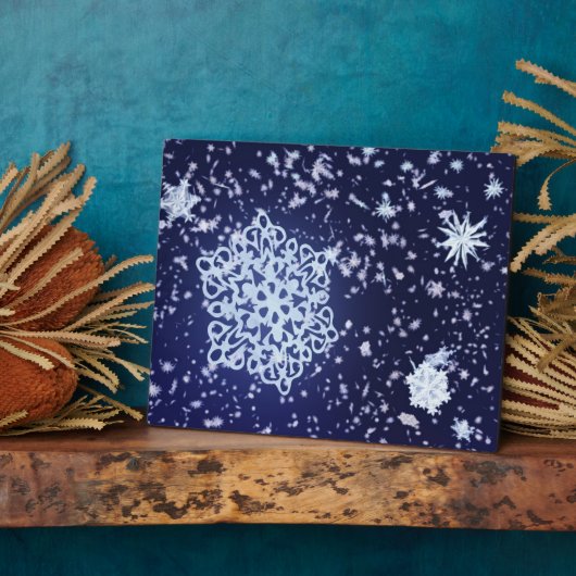 Longue Plaque nocturne d'hiver (Côté)