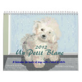 L'ONU petit Blanc - un calendrier pour des (Protection)