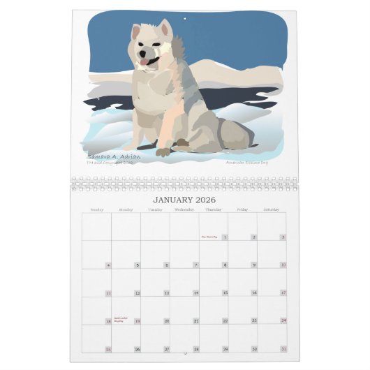 L'ONU petit Blanc - un calendrier pour des (Jan 2026)