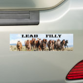 Loodbumpersticker Bumpersticker (Op auto)