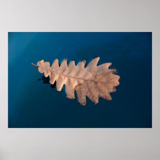 Loof Poster (Voorkant)