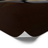 LOOFF CAROUSEL TIGER 1909 POSTER (Hoek)