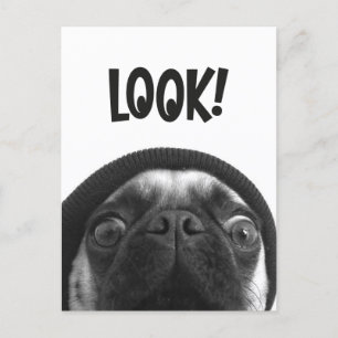 LOOK it's Lola the Pug Briefkaart