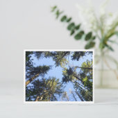 Look up briefkaart (Staand voorkant)