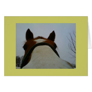 Lookin à vous cardent