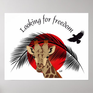 Looking for freedom poster