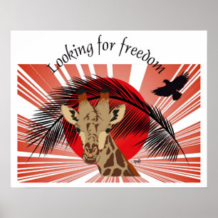 Looking for freedom poster