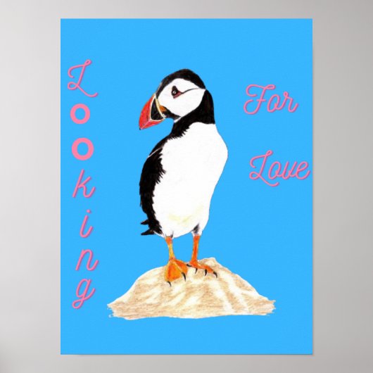 Looking for some love Puffin  Poster (Voorkant)