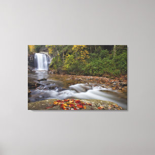 Looking Glass Falls in de Pisgah National Canvas Afdruk