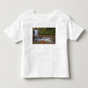 Looking Glass Falls in de Pisgah National Kinder Shirts