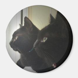 looking out the window magneet