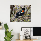 Looking Poster (Thuiskantoor)