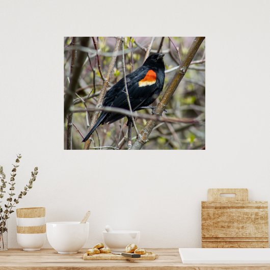 Looking Poster (Keuken)