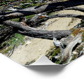 Looking towards Mt Fizroy Perfect Poster (Hoek)