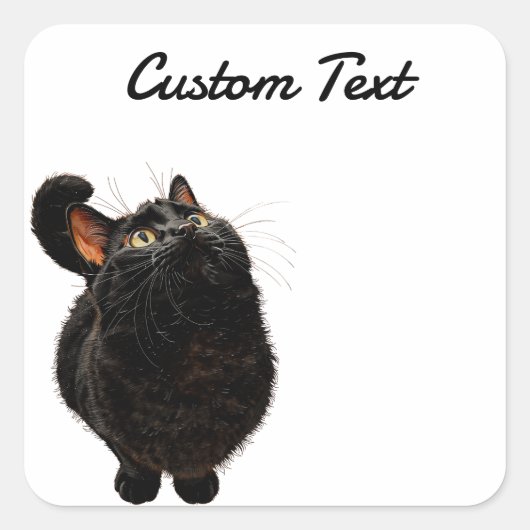 Looking Up Cat -4 | Personalized Custom Text Vierkante Sticker (Voorkant)