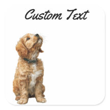 Looking Up Puppy-3 | Personalized Custom Text
