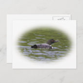 Loon Briefkaart (Voorkant / Achterkant)