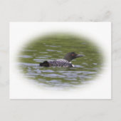 Loon Briefkaart (Voorkant)