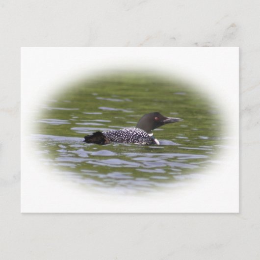 Loon Briefkaart (Voorkant)