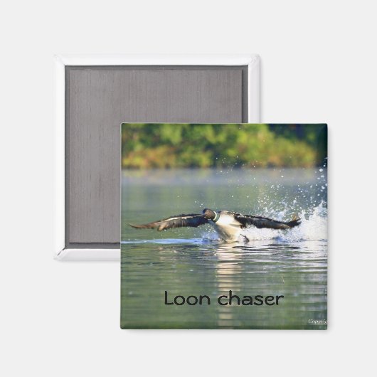 Loon chaser magneet (Voorkant / Achterkant)