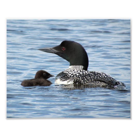 Loon en baby foto afdruk (Voorkant)