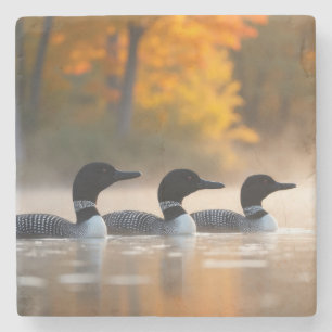 Loon familie in de herfst stenen onderzetter