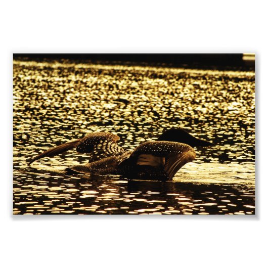 Loon Foto Afdruk (Voorkant)