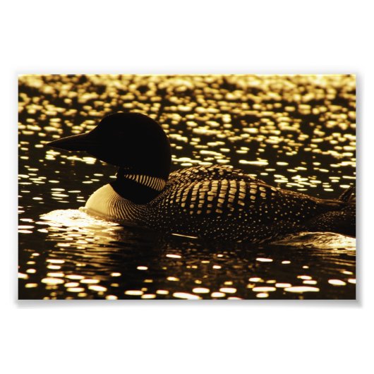 Loon Foto Afdruk (Voorkant)