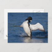 Loon IV Briefkaart (Voorkant / Achterkant)