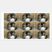 Loon Labels (Vel)