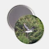 Loon Magnet Magneet (Voorkant / Achterkant)