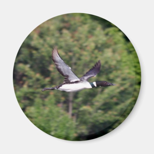 Loon Magnet Magneet (Voorkant)