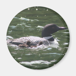 Loon met baby's 2 magneet