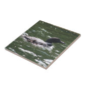 Loon met baby's 2 tegeltje (Zijkant)